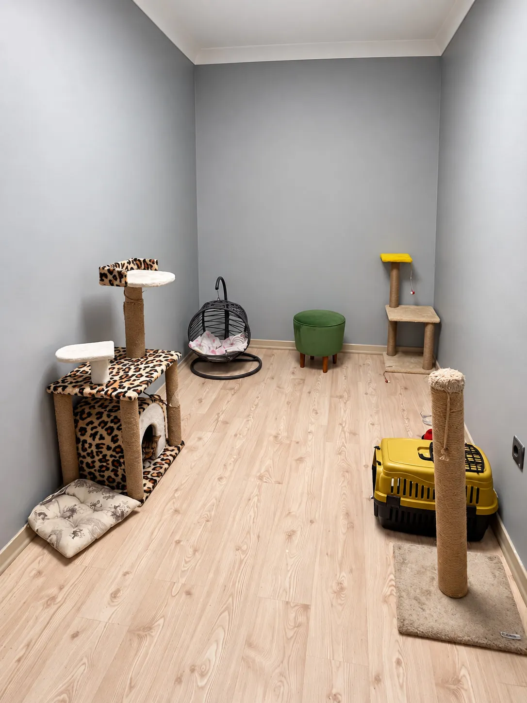 Play area